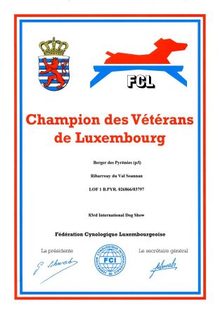 Champion des Vétérans de Luxembourg - Berger des Pyrénées (p-l) - Ribarrouy du Val Soannan