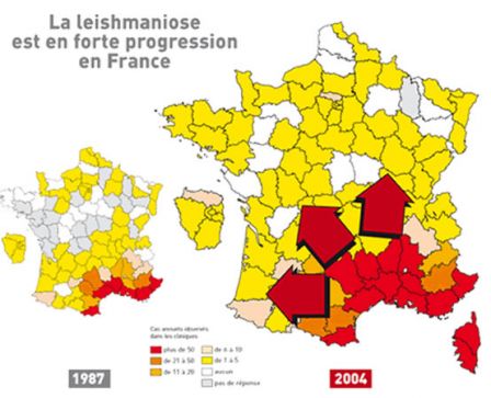 Carte de la progression de la leishmaniose en France