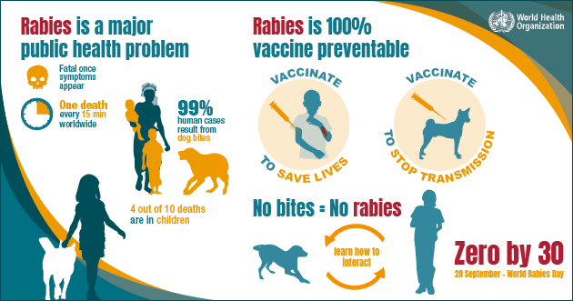 Rabies info