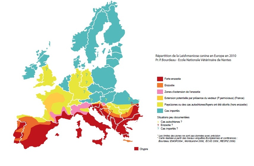 leishmaniose en Europe