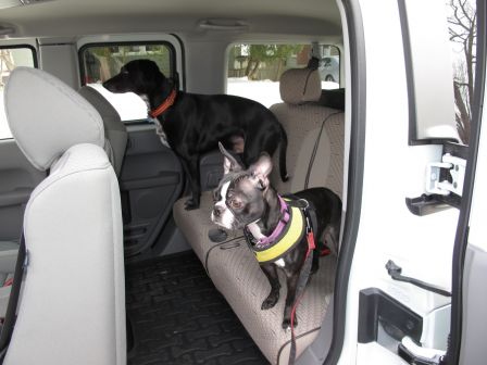 2010 Honda Element EX With Dog Friendly Paquet - Winding Road