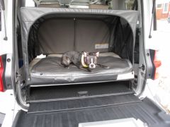 2010 Honda Element EX With Dog Friendly Paquet - Winding Road