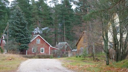 Quelques maisons près du bois