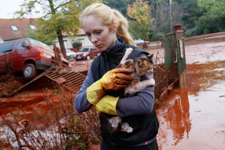 Tunde Erdelyi rescues a cat from the toxic sludge in the village of Devecser, Hngary on October 5, 2010. (REUTERS/Bernadett Szabo)