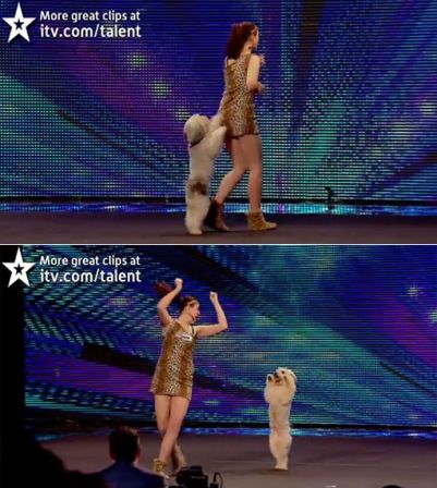 Britain's Got Talent 2012 audition - UK version : Ashleigh and Pudsey